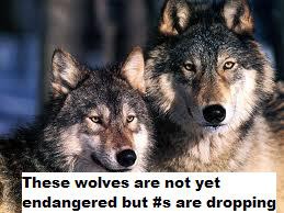 a species whose population has declined to the point that it may be at risk of extinction