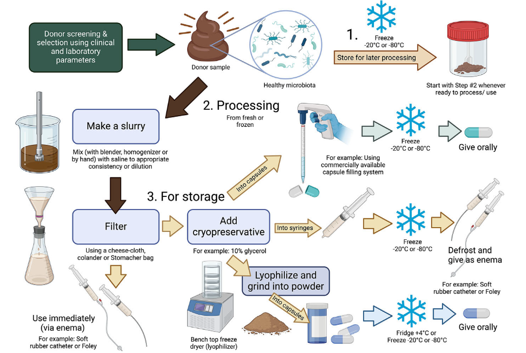 <p>administration of a feces (oral capsule or enema) from a healthy individual (donor) to a patient with disease</p>