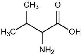 <p>Amino Acid </p>