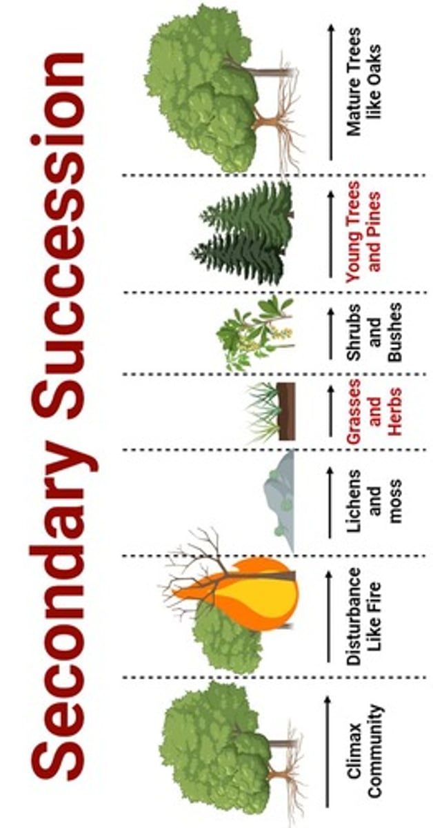 <p>Recovery of ecosystem after disturbance with soil.</p>