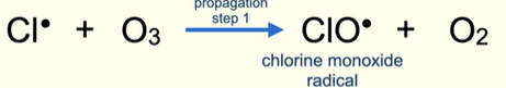 <ul><li><p>Propagation step 1 </p></li><li><p>Chlorine radical reacts with O<sub>3</sub> producing a chlorine monoxide radical and O<sub>2</sub></p></li></ul><p></p>
