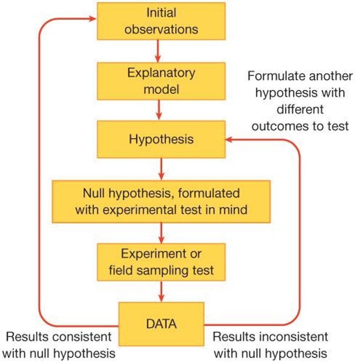 <p>Systematic approach to scientific inquiry and testing.</p>