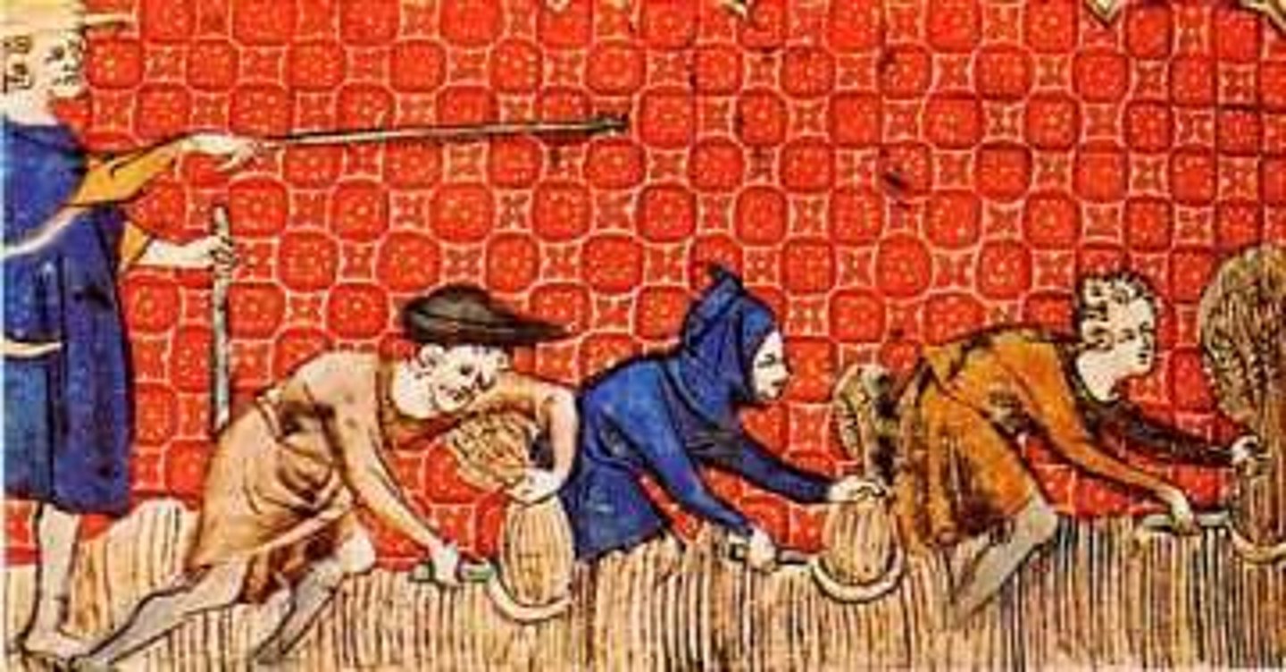<p>peasant who was tied to the land-- could not leave without permission of the noble</p>