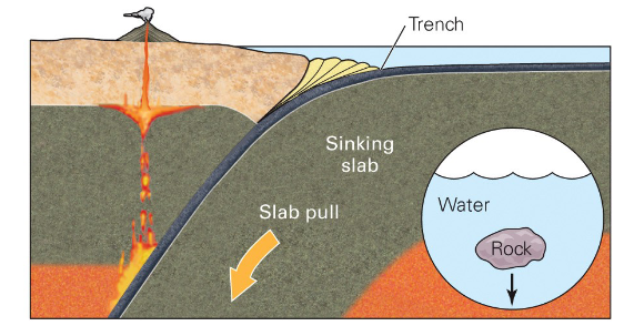 <p>The subducting slab is cold and dense and sinks into the asthenosphere, pulling all of the attached ocean crust behind it</p>