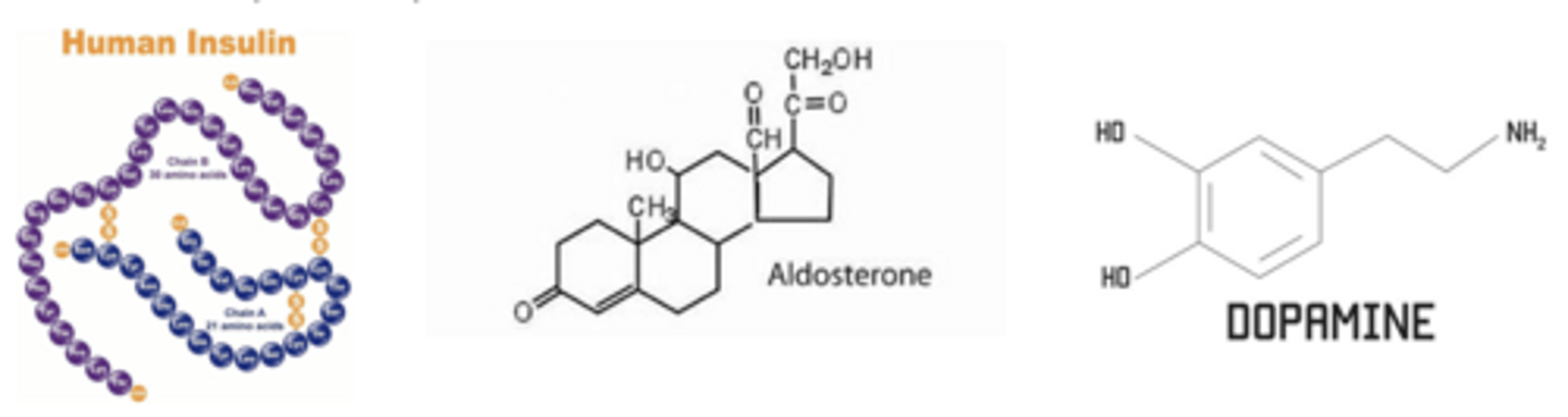 <p>the 3 major groups of hormones:</p>