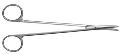 <p>name of instrument</p>