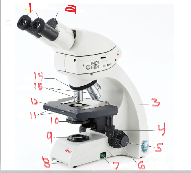 <p>What is name and function of image 5</p>