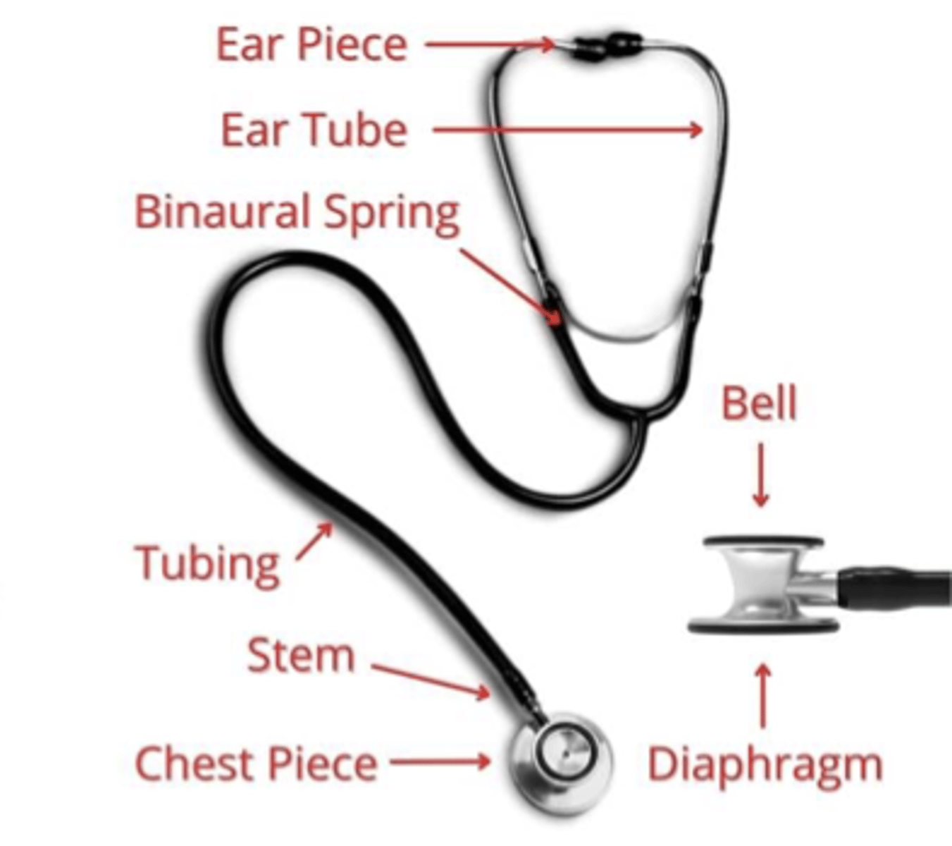 <p>Bell of stethoscope may be better for low-pitched sound (heart)</p><p>Diaphragm may be better for high-pitched sounds (lungs)</p>