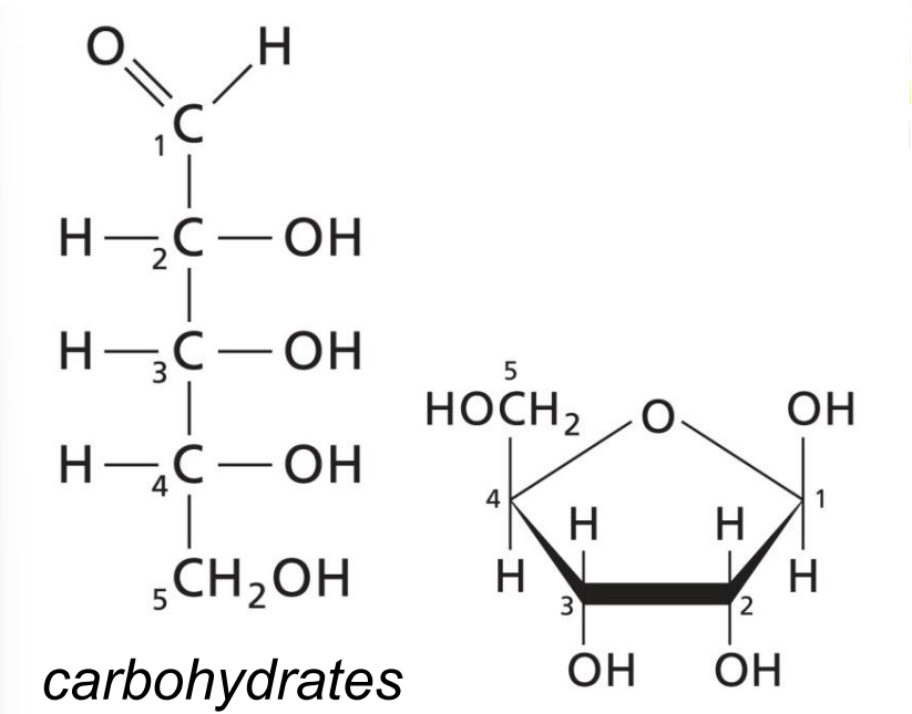 <ul><li><p>Soluble in water. </p></li></ul><p></p>