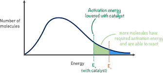 <p>-as temperature increases, peak lowers and shifts to the right as more particles exceed activation energy</p><p>-GREATER AREA UNDER CURVE ABOVE Ea</p><p>-catalyst just lowers Ea</p>