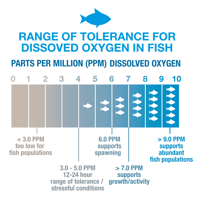 <p>It indicates the amount of oxygen dissolved in water which directly reflects the ability of a water body to support aquatic life</p><ul><li><p>low oxygen levels can be lethal to many organisims</p></li></ul><p></p>