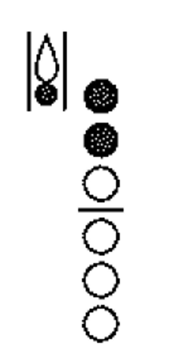 knowt flashcard image