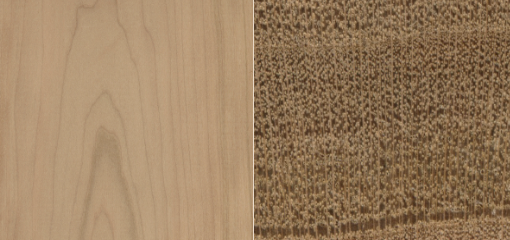 <p>semi-ring porous</p>