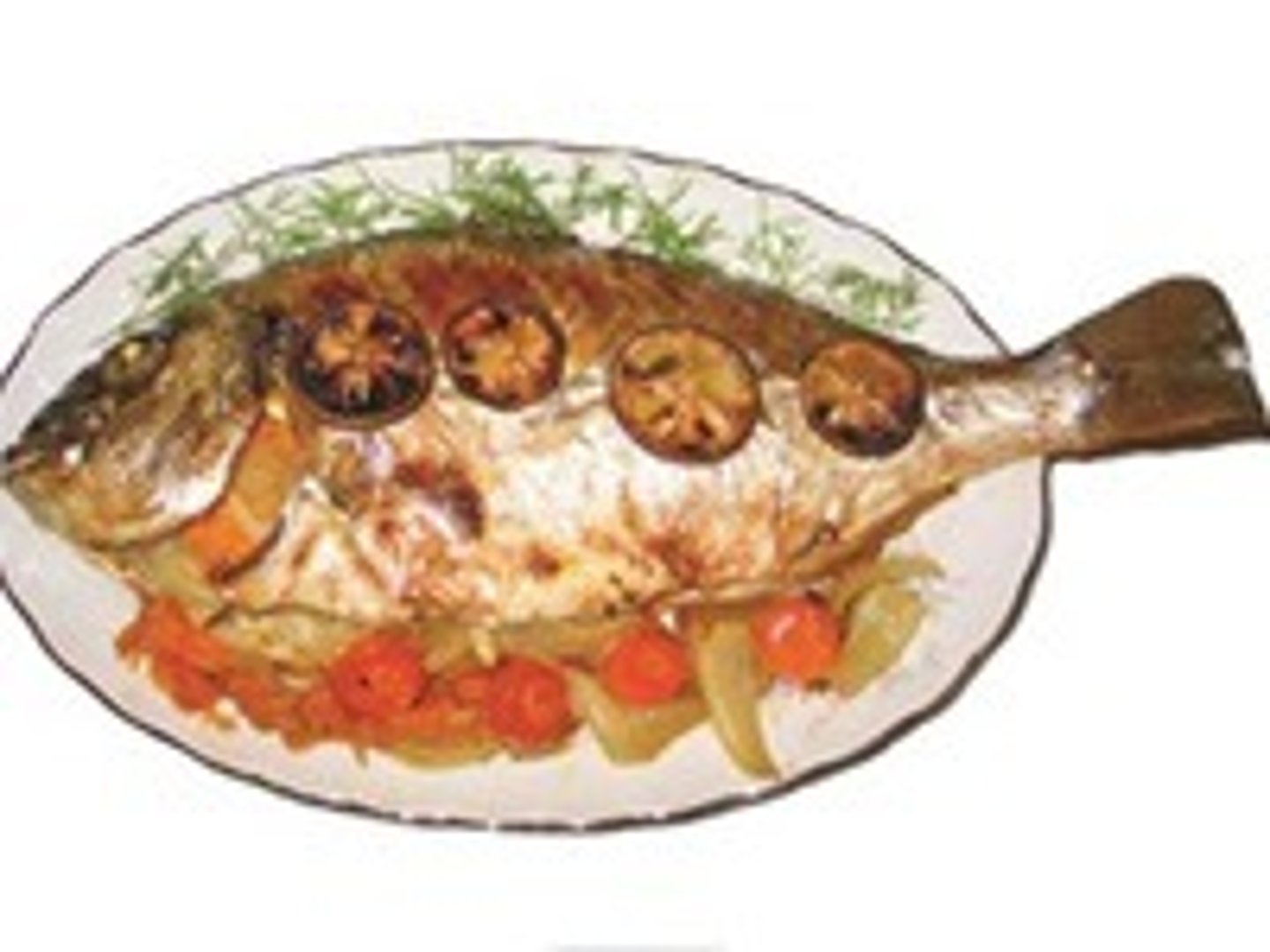 <p>fish</p>