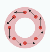 <p>cavity size decreases perpendicular to long axis of the chamber</p>