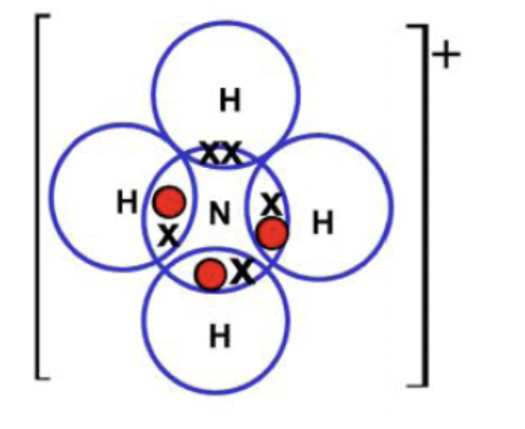 <ul><li><p><span style="color: purple">Dative covalent bond forms when the shared pair of electrons in the covalent bond  are supplied from a single atom </span></p></li><li><p><span style="color: purple">it is indicated using an arrow from the lone electron pair </span>e.g. Ammonia (NH3) has a lone electron pair that can form a dative bond with a hydrogen ion (H+) to produce an ammonium ion (NH4+) </p></li><li><p><span style="color: purple">once a dative bond is formed its treated as a standard covalent bond as it reacts in the same way and has the exact same properties regarding strength and length</span></p></li><li><p><span style="color: purple">its also called co-ordinate bonding</span></p><p></p></li></ul>