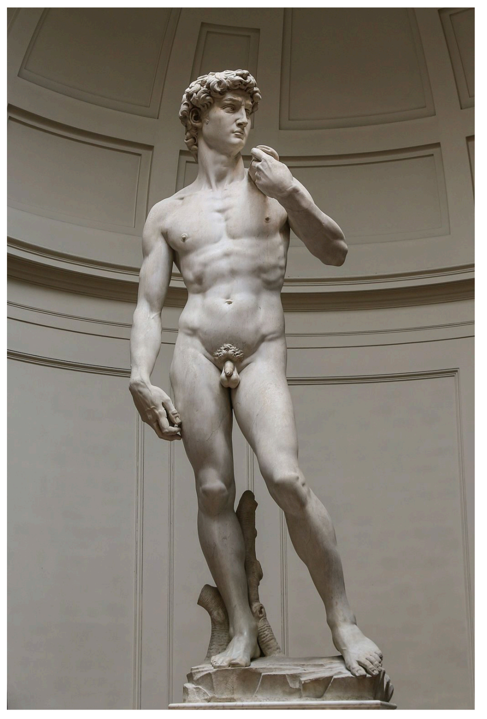 <p>Michelangelo, David</p>