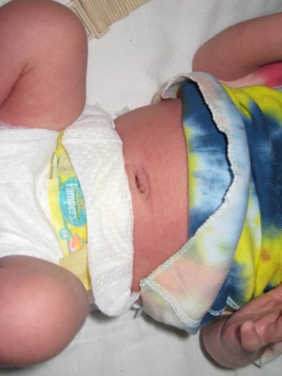 <p>The centermost region, which includes the umbilicus</p>