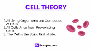 <p>Organisms are made out of cells, and those cells come from other cells.</p>