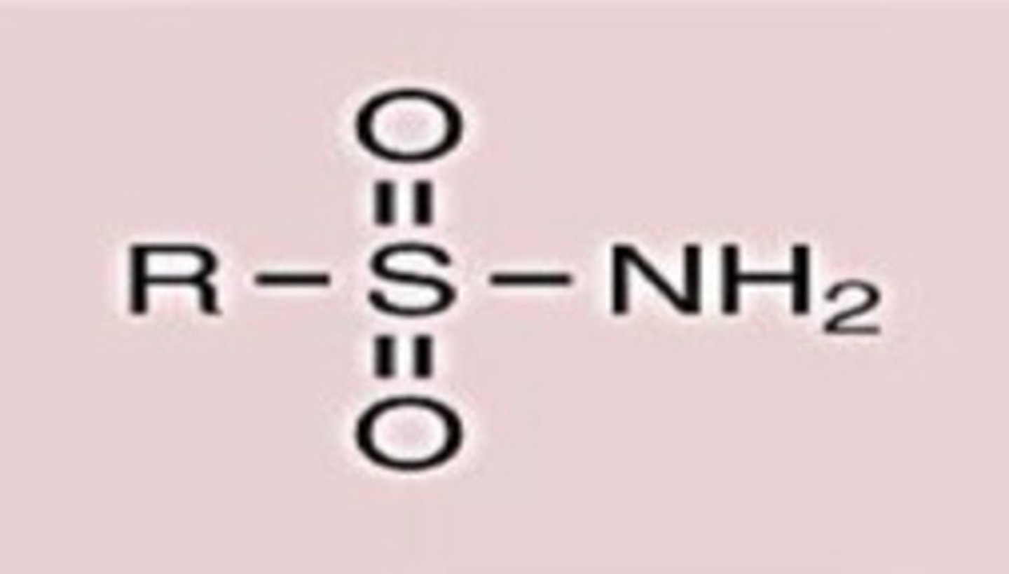 <p>Conj. Acid</p>