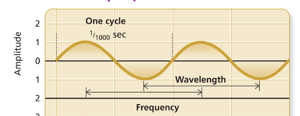 <p>1 wavelength </p>