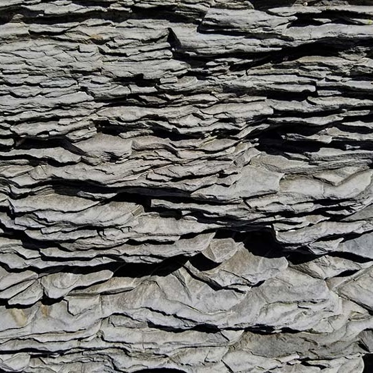 <p>Quel type de roche se caractérise par une structure feuilletée facilement clivable ?</p>