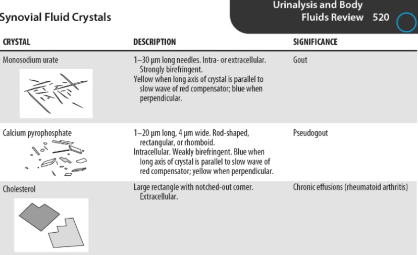 <p><strong>monosodium urate(MSU)</strong></p>