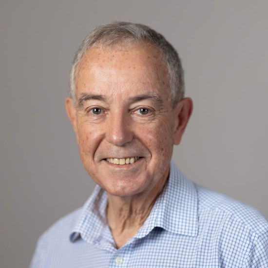 <p>Luiz Brandao</p><p>Visiting Associate Professor</p>