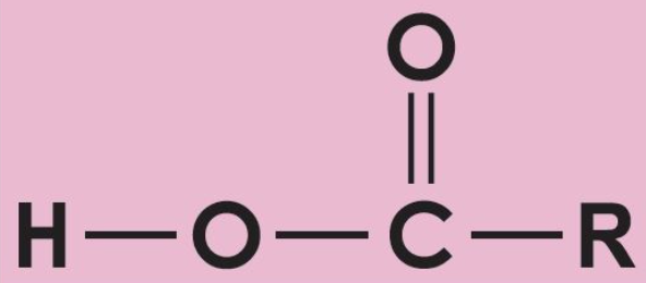 <p>What is this?</p>