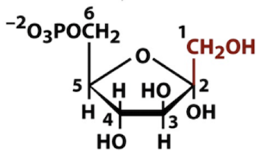 <p>Name that structure.</p>