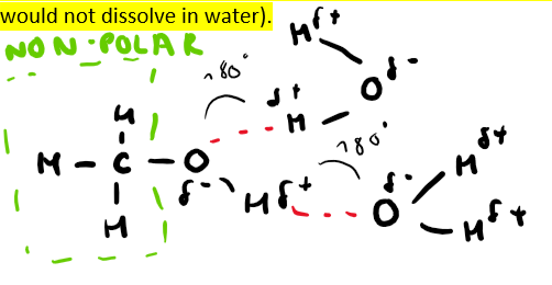 <p>When they can hydrogen bond with water (keep in mind the non-polar part of the molecule would not dissolve in water)</p>