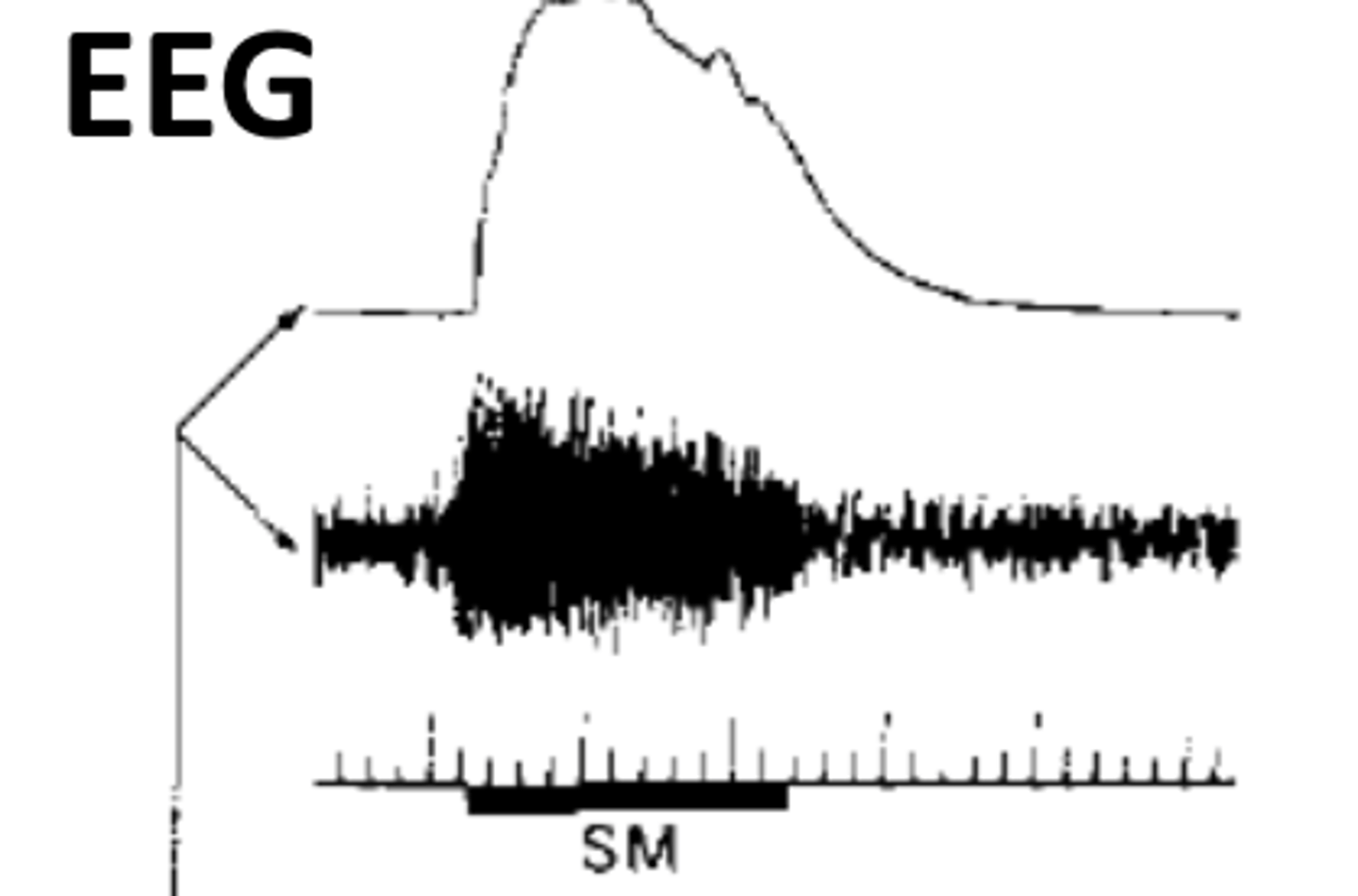 <p>theo dõi. Ex: Parents should _____ their children's online activities carefully.</p>