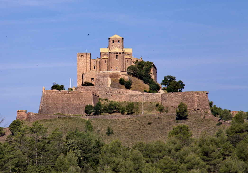 <p>Church of St. Vincenc</p>