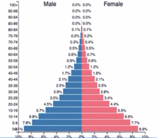<p>What stage is this population pyramid in?</p>