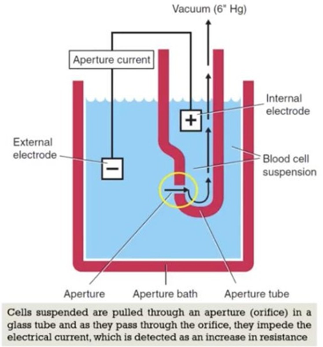 <p>low, direct voltage measuring resistance of cell, most common</p>