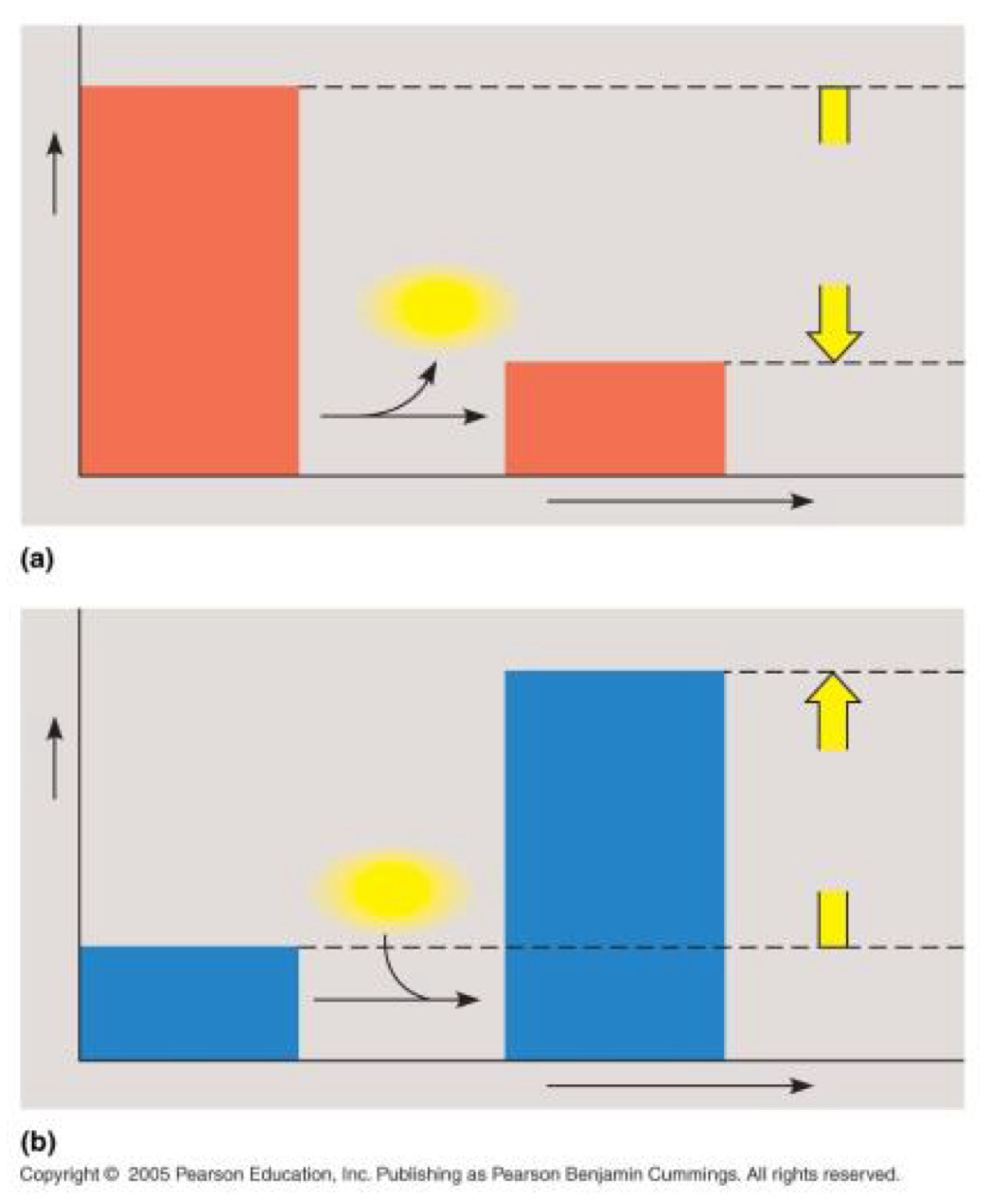 <p><span style="font-family: Arial-BoldMT; font-size: 16px;"><strong>Which graph illustrates an endergonic reaction? Explain. Is △G negative or positive?</strong></span></p>