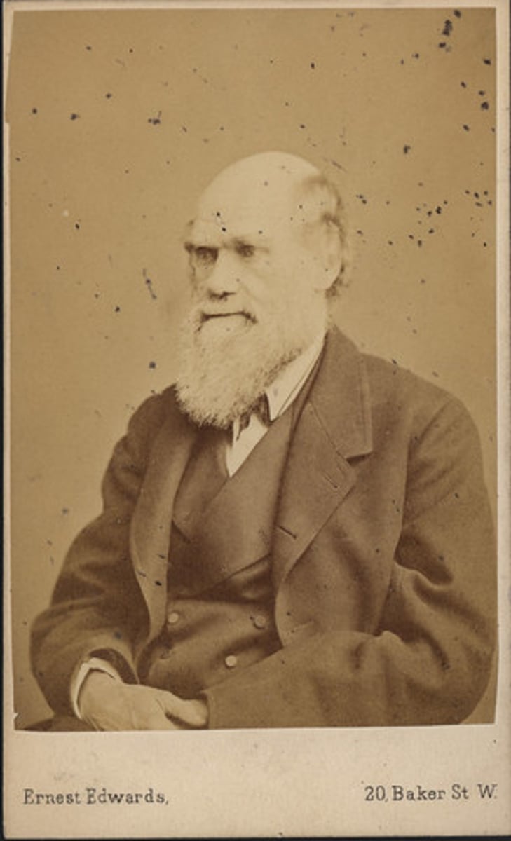 <p>1809-1882 English naturalist and scientist whose theory of evolution through natural selection was first published in 'On The Origin of the Species" in 1859.</p>