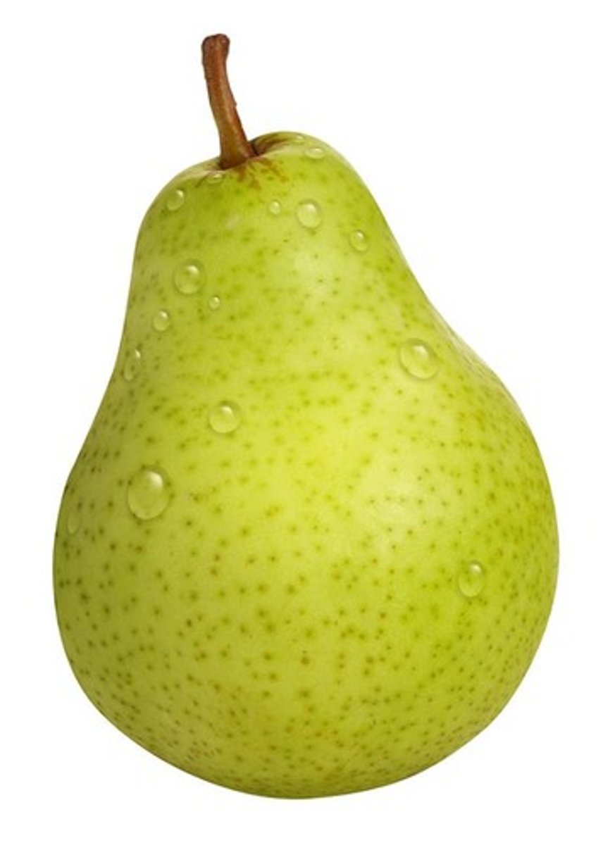 <p>pear</p>