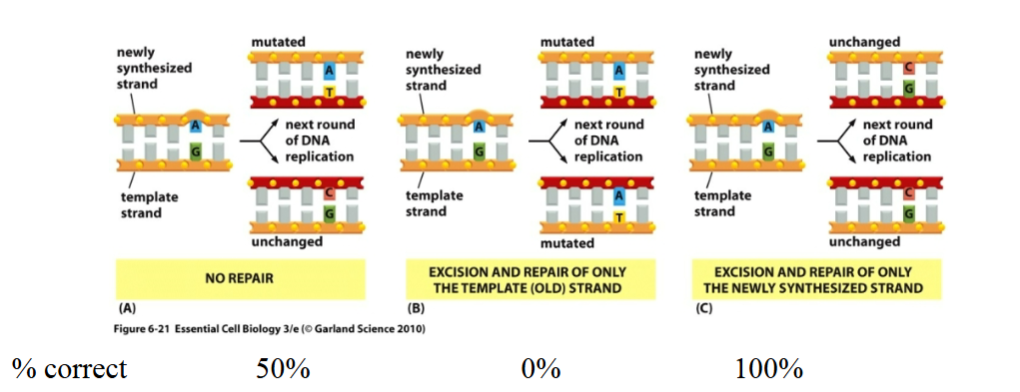 <p>Explain this diagram</p>