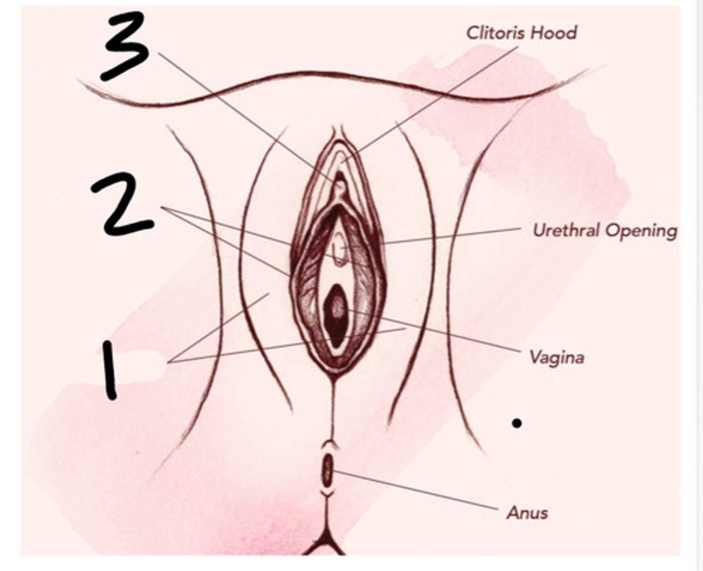 <p>2?</p>