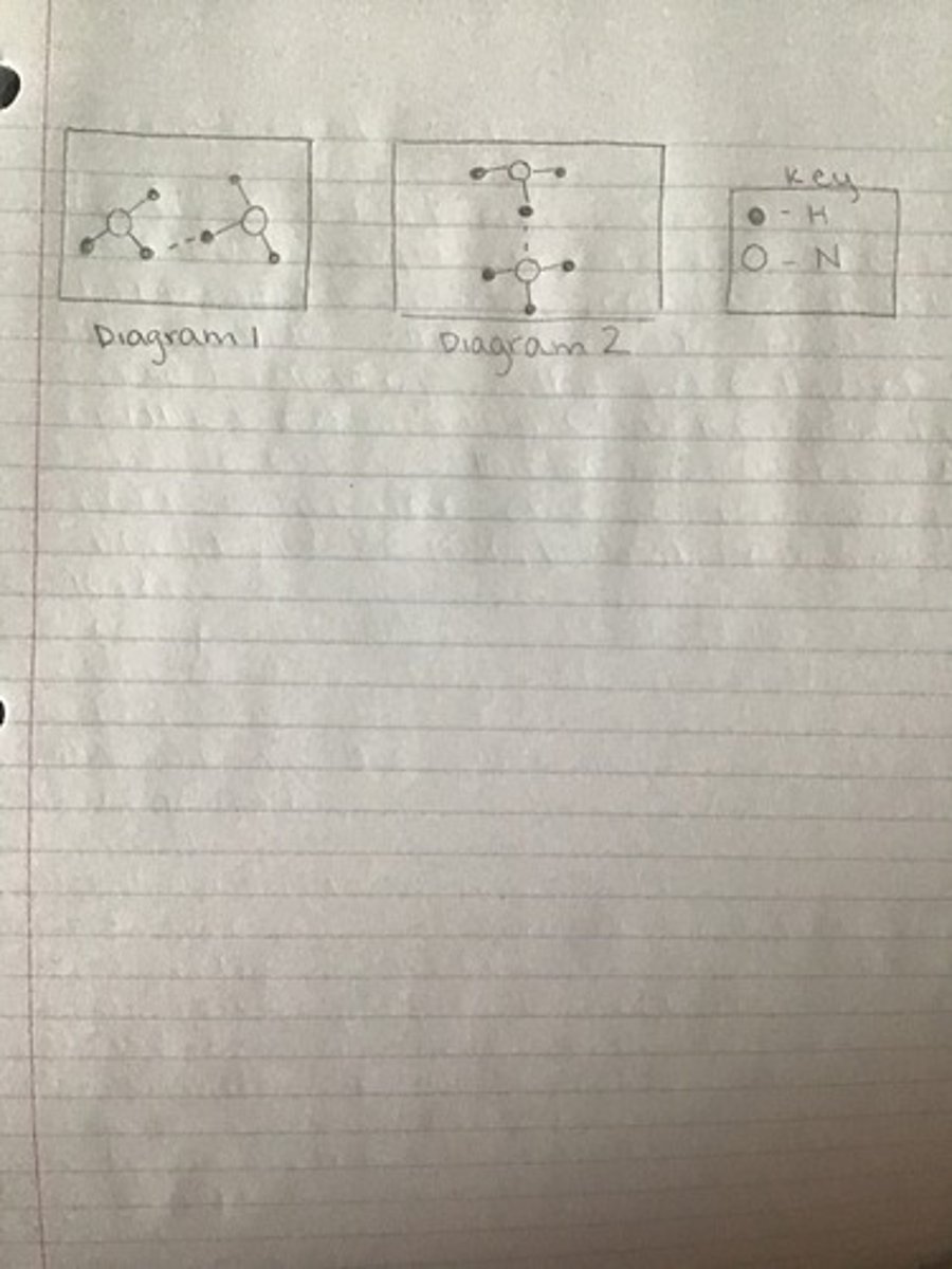 <p>Diagram 2- hydrogen bonding between nitrogen and hydrogen atoms in different molecules.</p>