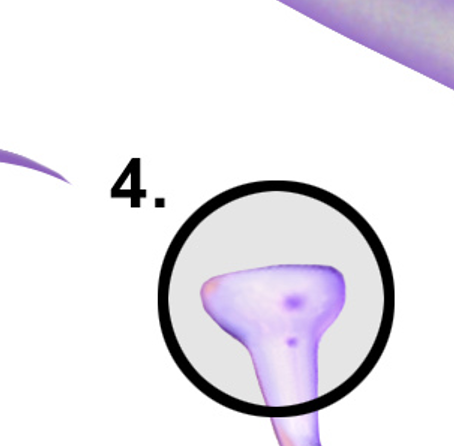 <p>A type of synapse where neurotransmitters are released from the axon terminal into the extracellular matrix, affecting nearby cells without a direct connection. </p>