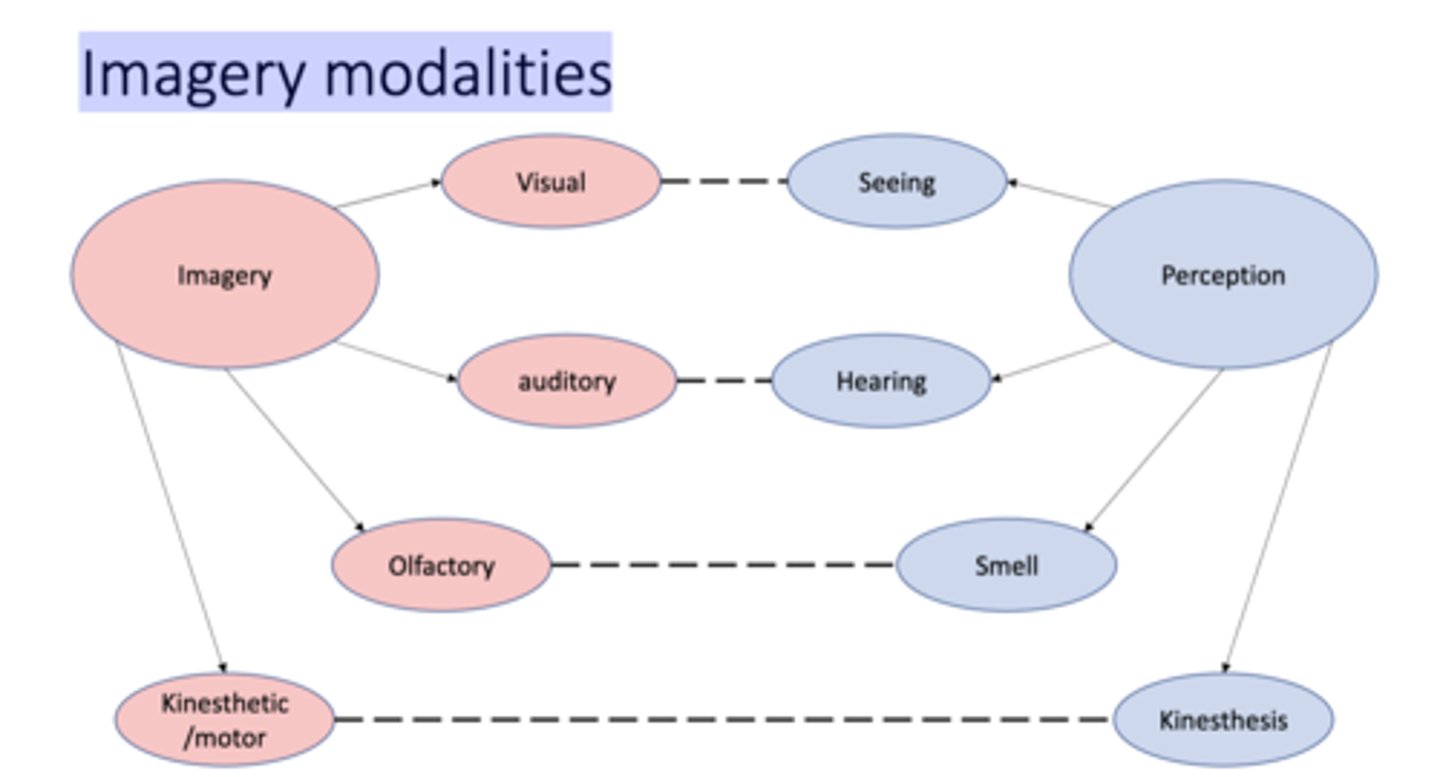 <p>Visual content imagery</p><p>Auditory</p><p>Olfactory</p><p>Kinesthetic/motor</p>