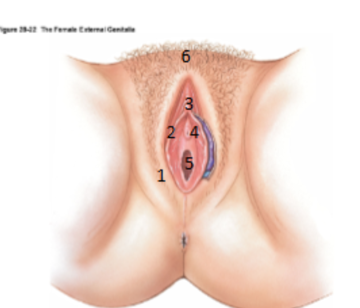 <p>What is 6?</p>