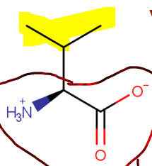 <p>Non Polar (6)</p>