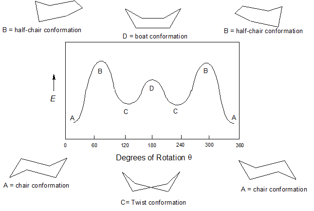 <p>Boat Conformation</p>