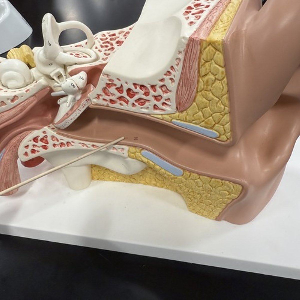 <p>What is this structure?</p>