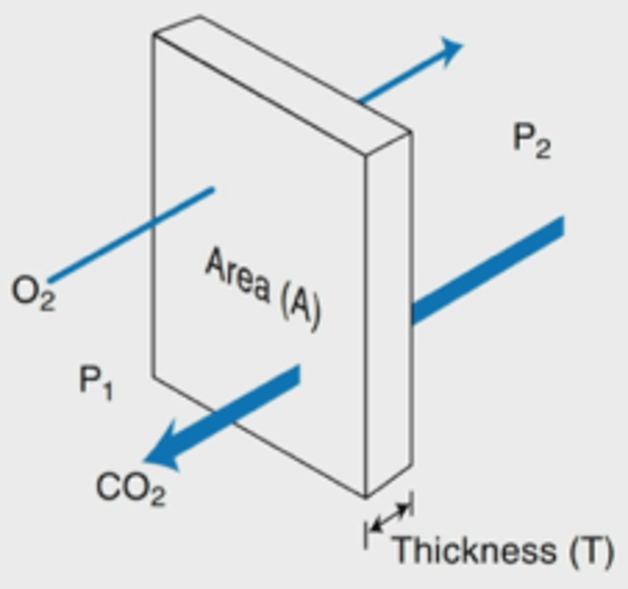 <p>= Geeft aan hoe moeilijk het is om door een vloeistofbarrière heen te gaan </p><p>Vgas ∝ (A / T) x D x (P1 – P2)</p><p>o V= flow</p><p>o A = oppervlak</p><p>o T/a = dikte</p><p>o D = diffusieconstante</p><p>s = oplosbaarheid</p><p>MW = molecuulgewicht</p><p>o P1 – P2 = partiele drukverschil</p>