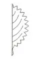 <p>margin</p>