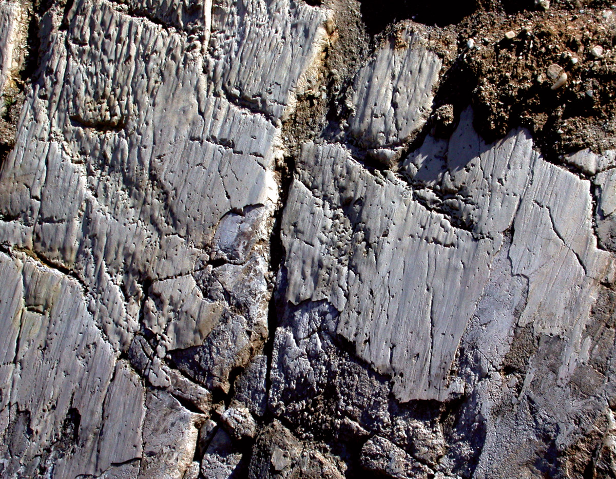 <p>Carved out land by glaciers</p>